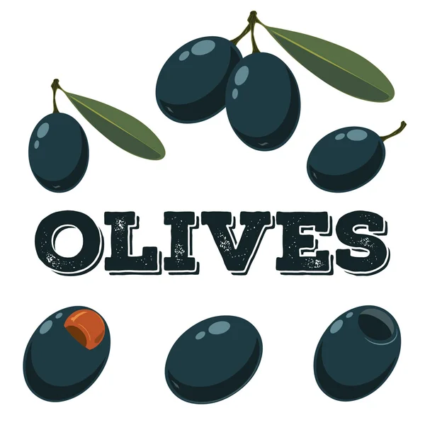 Black olives set.Hand drawn olives. — Wektor stockowy