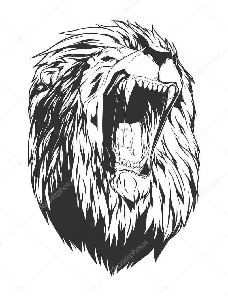 Vector illustration with lion head