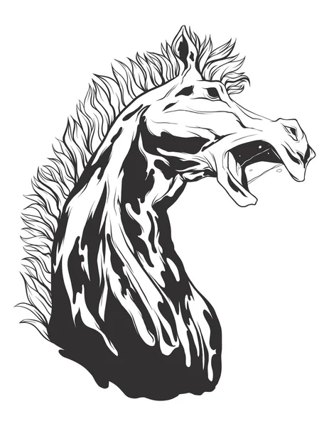 Vektör çizim at kafası ile