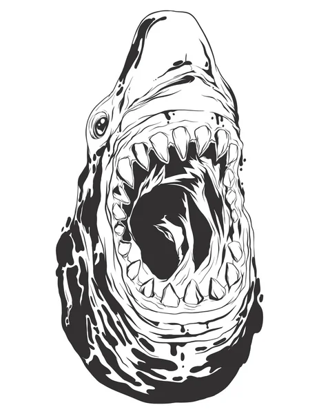 Illustration vectorielle avec tête de requin — Image vectorielle