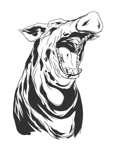 Vektör çizim domuz kafası