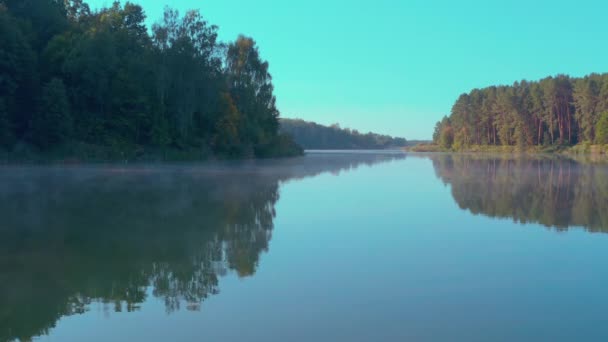 日の出の美しい湖。森と暖かい朝の光に囲まれた湖. — ストック動画