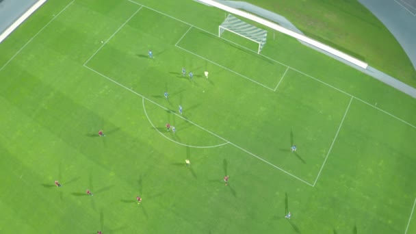 Fotbalisté hrají fotbal na velkém stadionu. červené a modré uniformy — Stock video