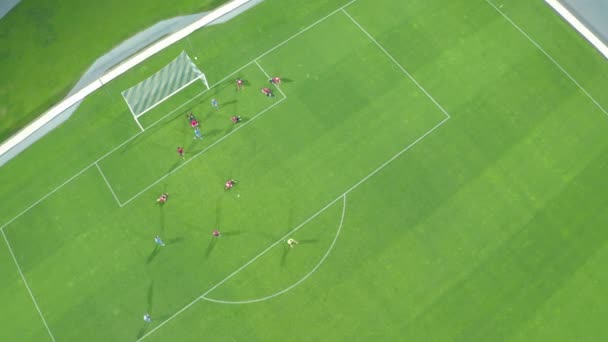 Футболісти грають у футбол на великому стадіоні. червоно-синя форма — стокове відео