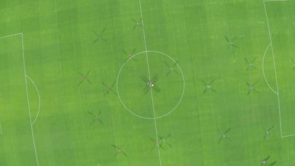 Football players play football in a large stadium. red and blue uniforms — Stock Video