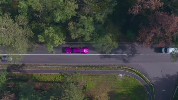 Фіолетовий лімузин їде швидко по лісовій дорозі. Довга дорога, довга. — стокове відео