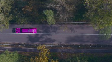 Orman yolunda hızlı giden mor bir limuzin. Renkli uzun araba, otoyol