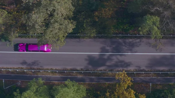 Paarse limousine rijdt snel langs de bosweg. gekleurde lange auto, snelweg — Stockfoto