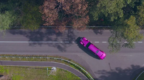 Paarse limousine rijdt snel langs de bosweg. gekleurde lange auto, snelweg — Stockfoto
