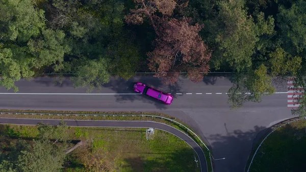 Purple limousine driving fast along the forest road. colored long car, highway — Photo