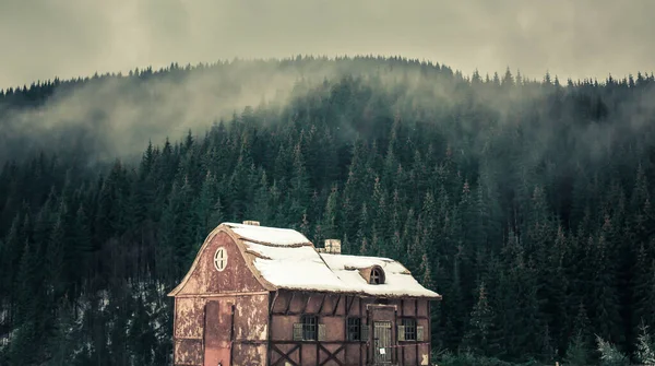 Evin dekorasyonu esrarengiz bir şekilde çam ormanındaki bir dağda duruyor..