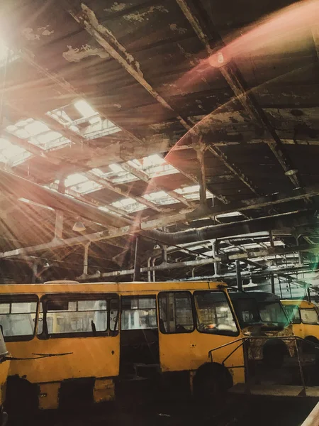 Güneş ışınları parlıyor. 