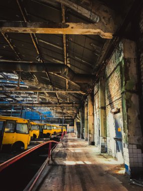 Güneş ışınları parlıyor. 