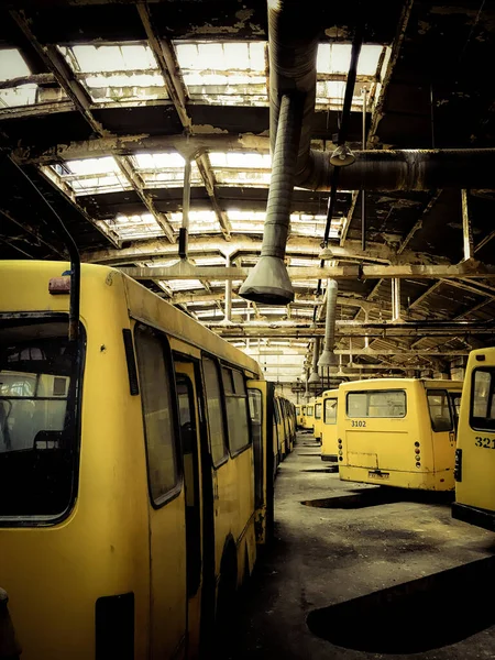 Sarı paslı minibüslerin arasında terk edilmiş eski bir eski araba.