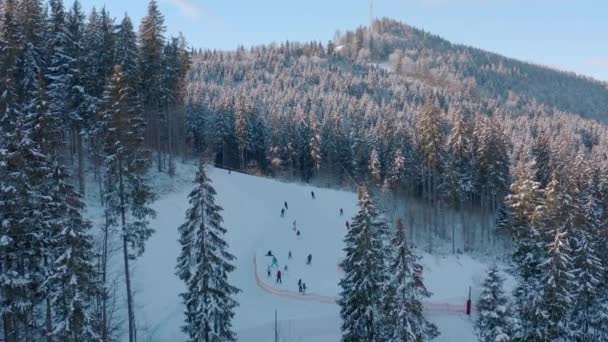 Tor narciarski. zjazd snowboardu w zimowym lesie w górach. — Wideo stockowe