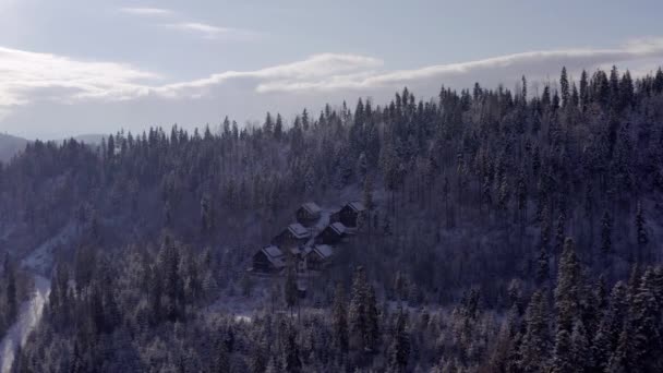 Cozy forest houses hidden in the forest in the mountains — Stock Video