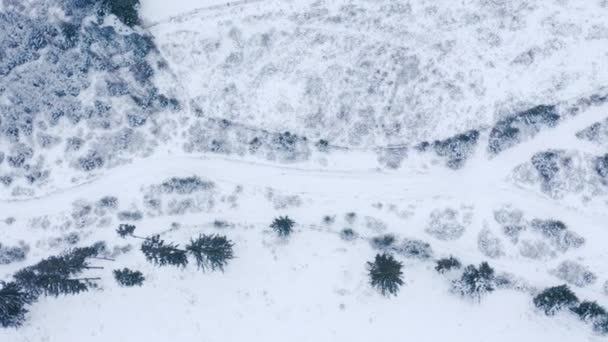 Carretera forestal de invierno en las montañas. árboles siempreverdes. — Vídeos de Stock