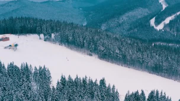 НАЙБІЛЬШИЙ ТРОЛЛЕЙ В УКРАЇНІ. троє людей з надзвичайною привабливістю — стокове відео