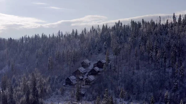 Gemütliche Waldhäuser versteckt im Wald in den Bergen — Stockfoto