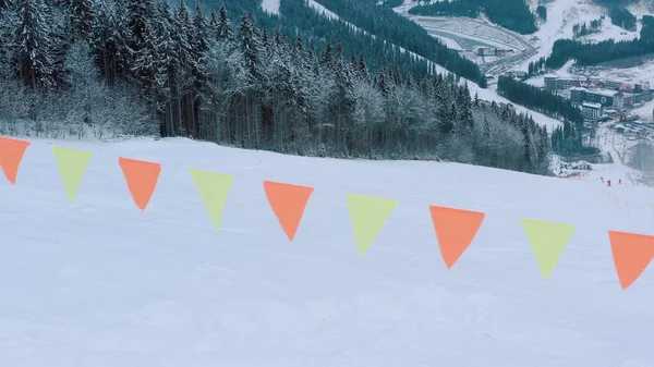 Sporgrænse. sikkerhedsflag på skiløjperne i det skovbevoksede område i bjergene - Stock-foto