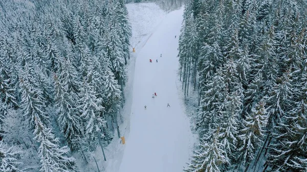 Pemandangan udara dari ski bersalju dan snowboarder naik di jalur pegunungan Stok Gambar Bebas Royalti