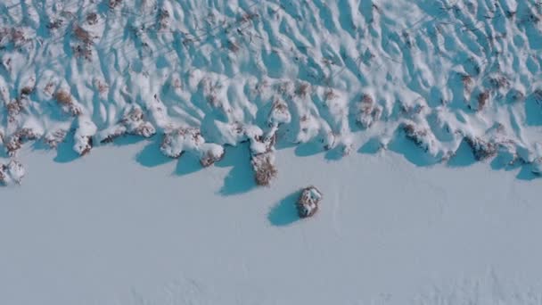 Břeh a zamrzlé jezero zasněžené jezero a rákosí — Stock video