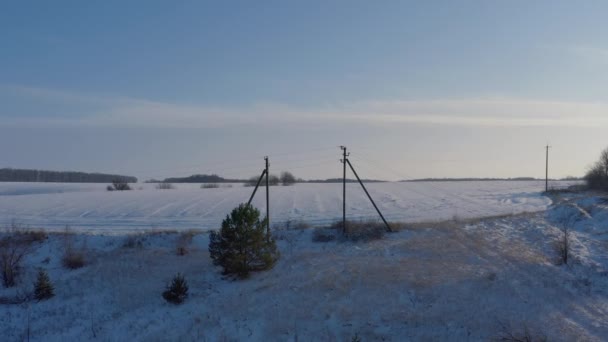 Az elektromos hálózatot a téli mező mentén helyezik el — Stock videók