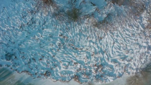 Zasněžené rákosí. silně zasněžené pole. zimní sněhová krajina — Stock video