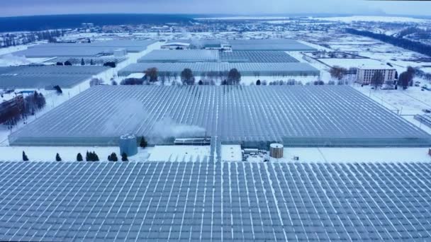 Vista lateral aérea de grandes estufas industriais para plantas em crescimento no inverno — Vídeo de Stock