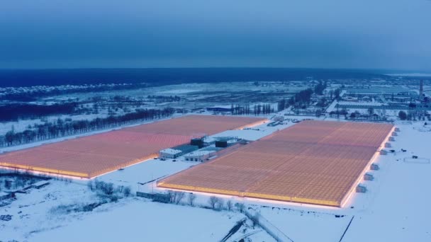Flygfoto över stora industriväxthus för odling av växter på vintern — Stockvideo