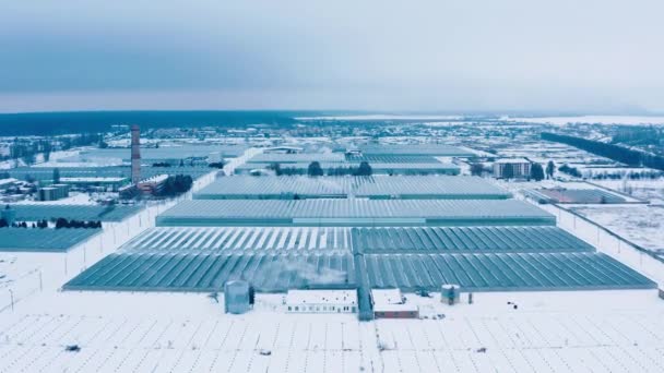 冬季种植植物的大型工业温室的空中侧视图 — 图库视频影像