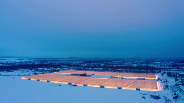 Vista lateral aérea de grandes estufas industriais para plantas em crescimento no inverno — Vídeo de Stock