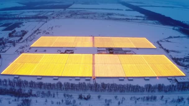 Luchtfoto van grote industriële kassen voor het kweken van planten in de winter — Stockvideo