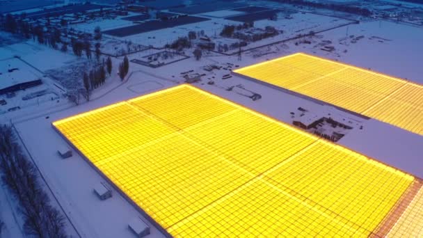 겨울에는 식물 이자라고 있을 만 한 거대 한 산업용 온실을 공중에서 바라본 모습 — 비디오