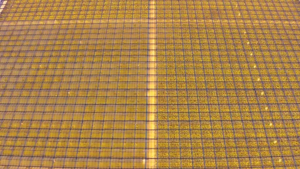 Kışın büyüyen bitkiler için büyük sanayi seralarının havadan görünüşü