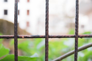 Bahçe bahçesinde, demir çitlerin arkasında, arka bahçede, bahçede..