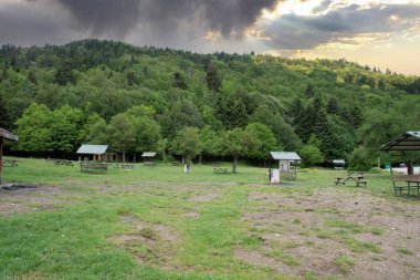 Bolu, Abant Gölü kıyısında, çayırda piknik masaları ve arkasında muhteşem bir orman manzarası.