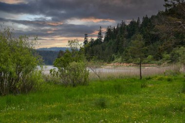 Bolu, Abant Gölü kıyısında, göl kıyısından dağ manzarası çayır ve sazlıklarla kaplı.