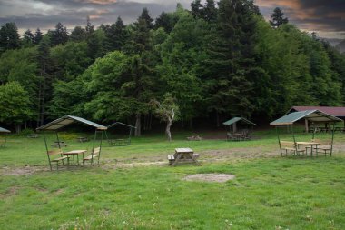 Bolu, Abant Gölü kıyısında, çayırda piknik masaları ve arkasında muhteşem bir orman manzarası.