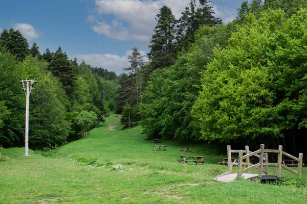 Bolu Bij Het Abant Lake Picknicktafels Weide Een Prachtig Uitzicht — Stockfoto