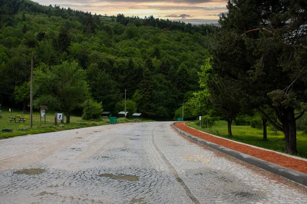 Bolu Nad Jeziorem Abant Droga Asfaltowa Zamienia Się Las — Zdjęcie stockowe