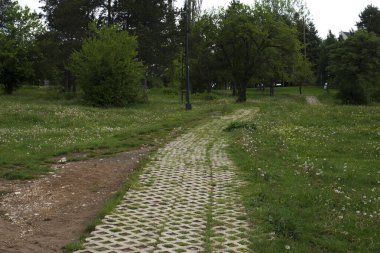 Ormana giden asfalt bir yol. Bolu Abant Türkiye
