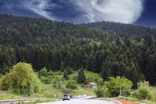 Chalet Pine Forest Highway Abant Lake National Park — Zdjęcie stockowe