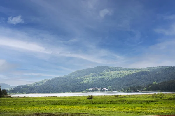 在阿班特湖边 从湖岸上俯瞰山景 湖面上覆盖着草地和芦苇 — 图库照片