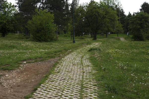 Ormana giden asfalt bir yol. Bolu Abant Türkiye