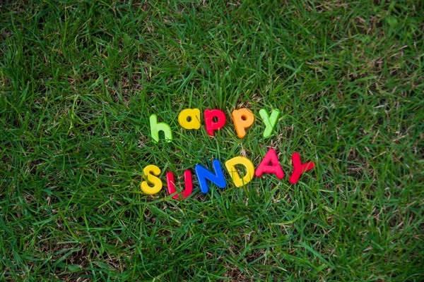 家の庭の草の上におもちゃの手紙で書かれた幸せな日曜日のレタリング — ストック写真