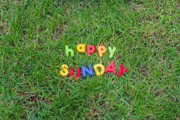 Счастливый Воскресный День Написанный Игрушечными Буквами Траве Саду Дома — стоковое фото