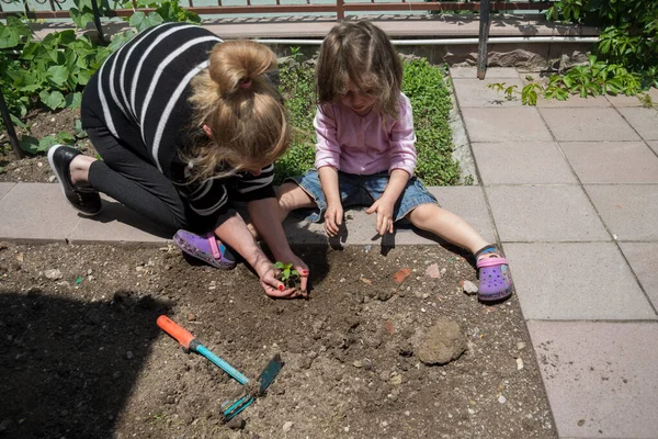 Jonge Vrouw Haar Dochter Planten Peper Potten Hun Tuin Selectieve — Stockfoto