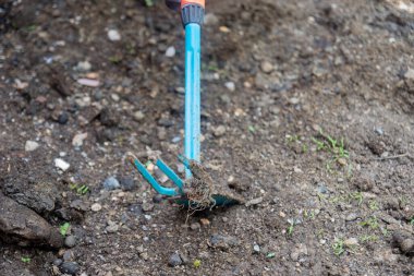 Genç kadın evinin bahçesine ektiği sebzelerin toprağını çapalıyor.