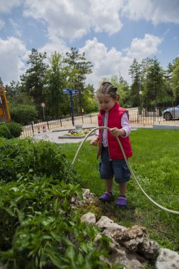Küçük kız bahçelerinde domates ve biber tohumlarını bahçe hortumuyla suluyor. seçici Odaklanma.